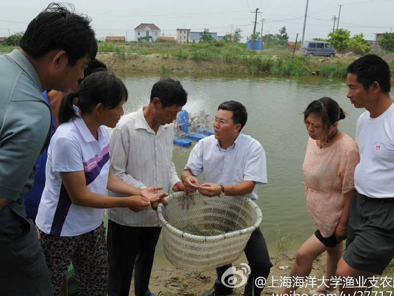 7月28日，上海海洋大學“漁業科技支農”服務團赴如東縣長沙鎮富鹽村進行科技支農服務。圖為團隊技術指導鐘博士在向養殖戶講解魚類科學養殖的方法。