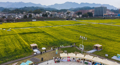 “以花為媒” 打造春日消費(fèi)新場景